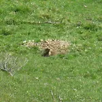 Ciesa La Rocia Rocca Pietore